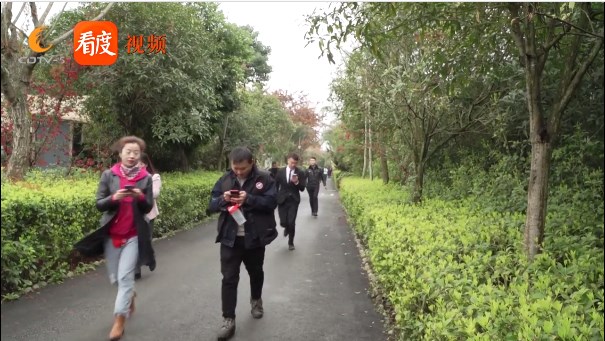 微信截图_20210303174635